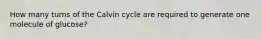 How many turns of the Calvin cycle are required to generate one molecule of glucose?