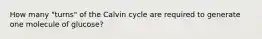 How many "turns" of the Calvin cycle are required to generate one molecule of glucose?