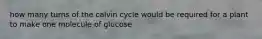 how many turns of the calvin cycle would be required for a plant to make one molecule of glucose