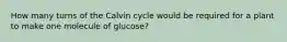 How many turns of the Calvin cycle would be required for a plant to make one molecule of glucose?