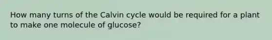 How many turns of the Calvin cycle would be required for a plant to make one molecule of glucose?