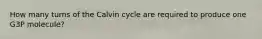 How many turns of the Calvin cycle are required to produce one G3P molecule?