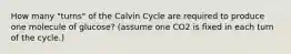 How many "turns" of the Calvin Cycle are required to produce one molecule of glucose? (assume one CO2 is fixed in each turn of the cycle.)