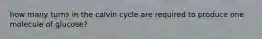 how many turns in the calvin cycle are required to produce one molecule of glucose?