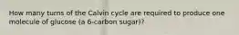 How many turns of the Calvin cycle are required to produce one molecule of glucose (a 6-carbon sugar)?