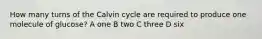 How many turns of the Calvin cycle are required to produce one molecule of glucose? A one B two C three D six