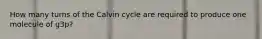 How many turns of the Calvin cycle are required to produce one molecule of g3p?