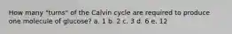 How many "turns" of the Calvin cycle are required to produce one molecule of glucose? a. 1 b. 2 c. 3 d. 6 e. 12