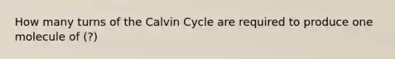 How many turns of the Calvin Cycle are required to produce one molecule of (?)