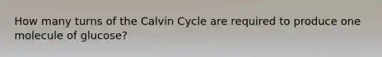 How many turns of the Calvin Cycle are required to produce one molecule of glucose?