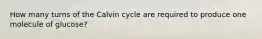 How many turns of the Calvin cycle are required to produce one molecule of glucose?