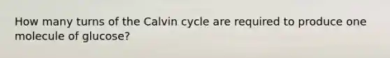 How many turns of the Calvin cycle are required to produce one molecule of glucose?