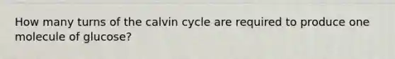 How many turns of the calvin cycle are required to produce one molecule of glucose?