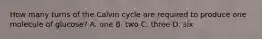 How many turns of the Calvin cycle are required to produce one molecule of glucose? A. one B. two C. three D. six