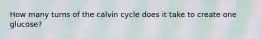 How many turns of the calvin cycle does it take to create one glucose?