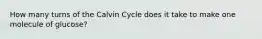 How many turns of the Calvin Cycle does it take to make one molecule of glucose?