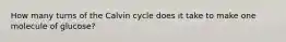 How many turns of the Calvin cycle does it take to make one molecule of glucose?