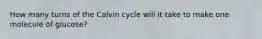 How many turns of the Calvin cycle will it take to make one molecule of glucose?