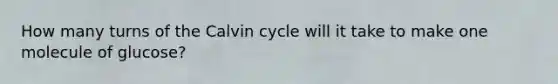 How many turns of the Calvin cycle will it take to make one molecule of glucose?