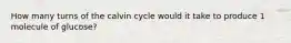 How many turns of the calvin cycle would it take to produce 1 molecule of glucose?