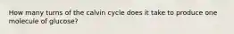 How many turns of the calvin cycle does it take to produce one molecule of glucose?