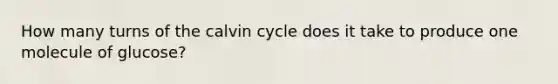 How many turns of the calvin cycle does it take to produce one molecule of glucose?