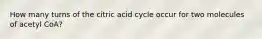 How many turns of the citric acid cycle occur for two molecules of acetyl CoA?