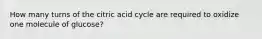 How many turns of the citric acid cycle are required to oxidize one molecule of glucose?