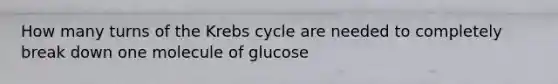 How many turns of the Krebs cycle are needed to completely break down one molecule of glucose