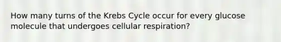 How many turns of the Krebs Cycle occur for every glucose molecule that undergoes cellular respiration?