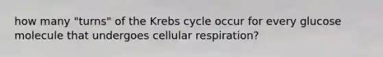 how many "turns" of the Krebs cycle occur for every glucose molecule that undergoes cellular respiration?