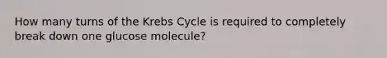 How many turns of the Krebs Cycle is required to completely break down one glucose molecule?