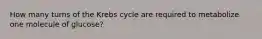 How many turns of the Krebs cycle are required to metabolize one molecule of glucose?