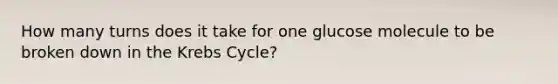 How many turns does it take for one glucose molecule to be broken down in the <a href='https://www.questionai.com/knowledge/kqfW58SNl2-krebs-cycle' class='anchor-knowledge'>krebs cycle</a>?