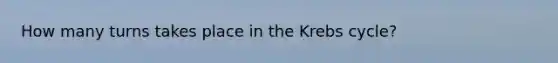 How many turns takes place in the Krebs cycle?