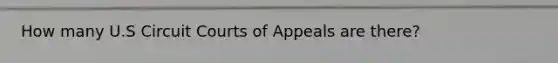 How many U.S Circuit Courts of Appeals are there?