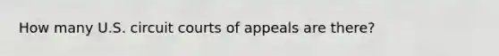 How many U.S. circuit courts of appeals are there?