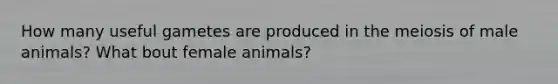 How many useful gametes are produced in the meiosis of male animals? What bout female animals?