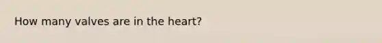 How many valves are in the heart?