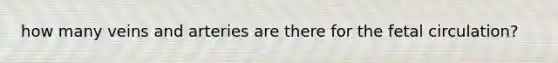 how many veins and arteries are there for the fetal circulation?