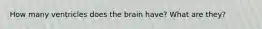 How many ventricles does the brain have? What are they?