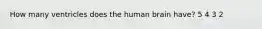 How many ventricles does the human brain have? 5 4 3 2