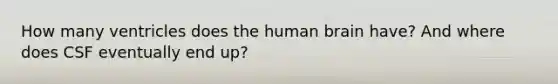 How many ventricles does the human brain have? And where does CSF eventually end up?