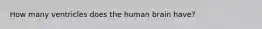 How many ventricles does the human brain have?