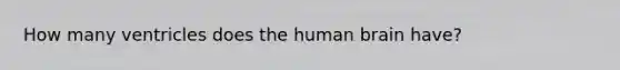 How many ventricles does the human brain have?