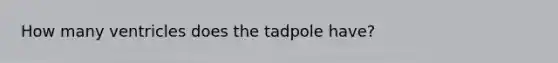 How many ventricles does the tadpole have?