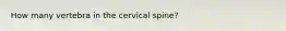 How many vertebra in the cervical spine?