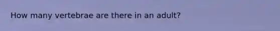 How many vertebrae are there in an adult?