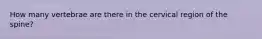 How many vertebrae are there in the cervical region of the spine?