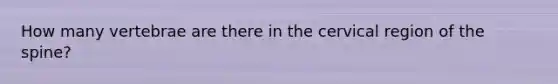 How many vertebrae are there in the cervical region of the spine?